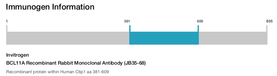 BCL11A Recombinant Rabbit Monoclonal Antibody (JB35-68)