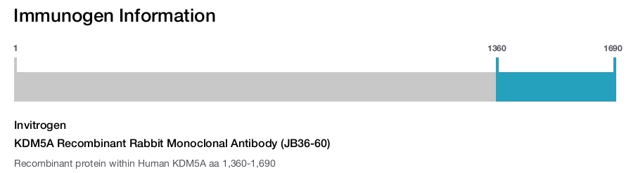 KDM5A Recombinant Rabbit Monoclonal Antibody (JB36-60)
