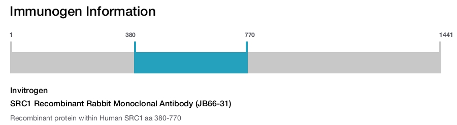 SRC1 Recombinant Rabbit Monoclonal Antibody (JB66-31)