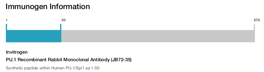 PU.1 Recombinant Rabbit Monoclonal Antibody (JB72-35)