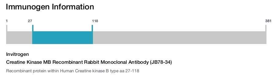 Creatine Kinase MB Recombinant Rabbit Monoclonal Antibody (JB78-34)
