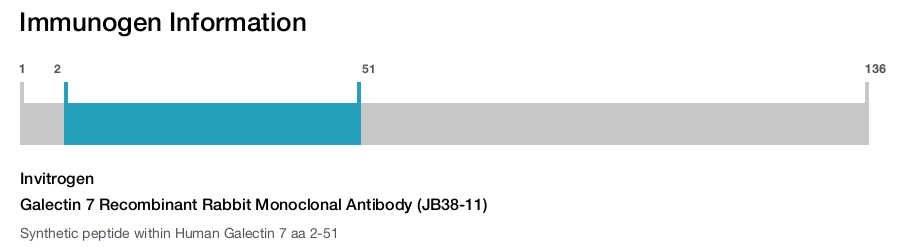 Galectin 7 Recombinant Rabbit Monoclonal Antibody (JB38-11)