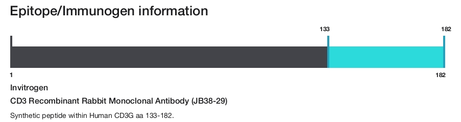 CD3 Recombinant Rabbit Monoclonal Antibody (JB38-29)