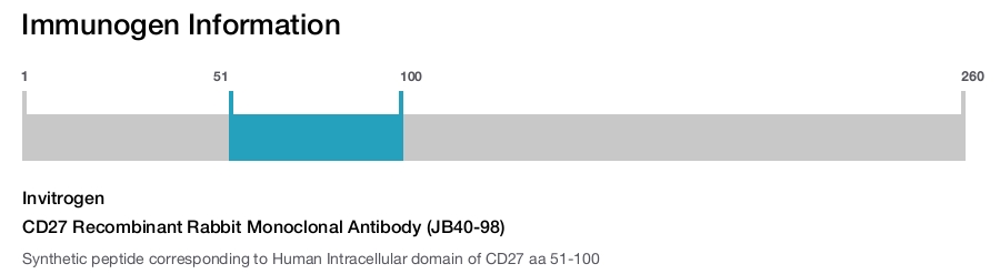 CD27 Recombinant Rabbit Monoclonal Antibody (JB40-98)