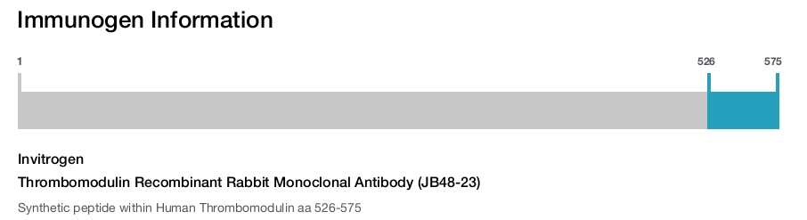Thrombomodulin Recombinant Rabbit Monoclonal Antibody (JB48-23)