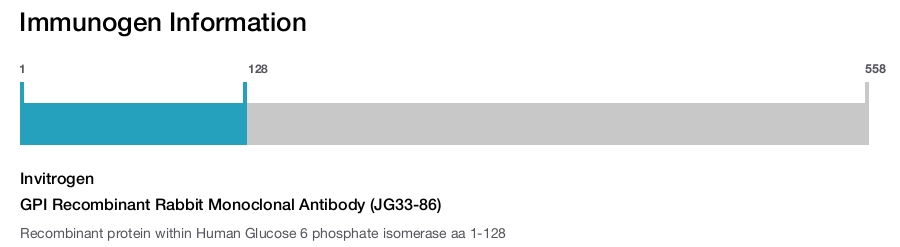 GPI Recombinant Rabbit Monoclonal Antibody (JG33-86)