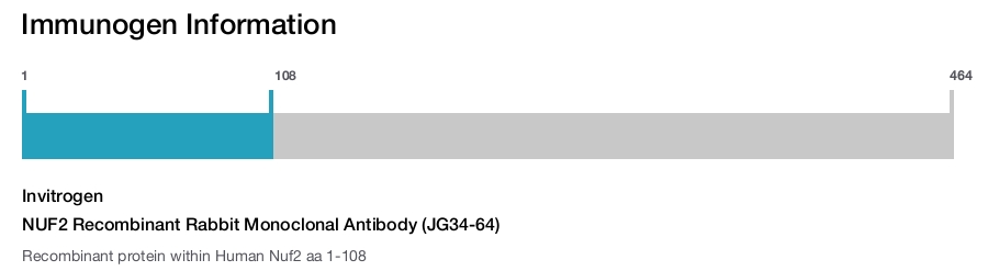 NUF2 Recombinant Rabbit Monoclonal Antibody (JG34-64)
