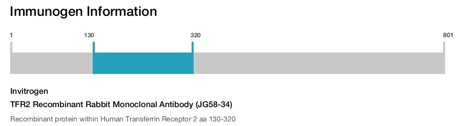 TFR2 Recombinant Rabbit Monoclonal Antibody (JG58-34)