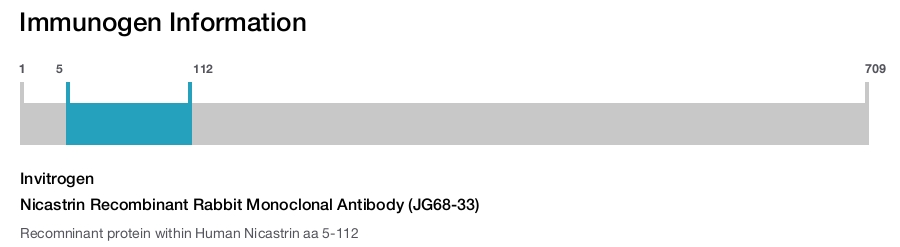 Nicastrin Recombinant Rabbit Monoclonal Antibody (JG68-33)