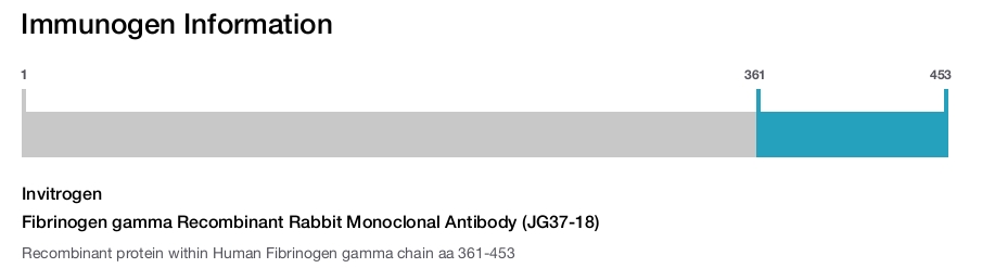 Fibrinogen gamma Recombinant Rabbit Monoclonal Antibody (JG37-18)