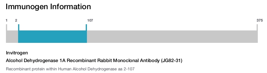 Alcohol Dehydrogenase 1A Recombinant Rabbit Monoclonal Antibody (JG82-31)