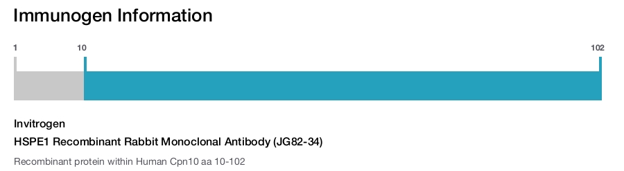 HSPE1 Recombinant Rabbit Monoclonal Antibody (JG82-34)