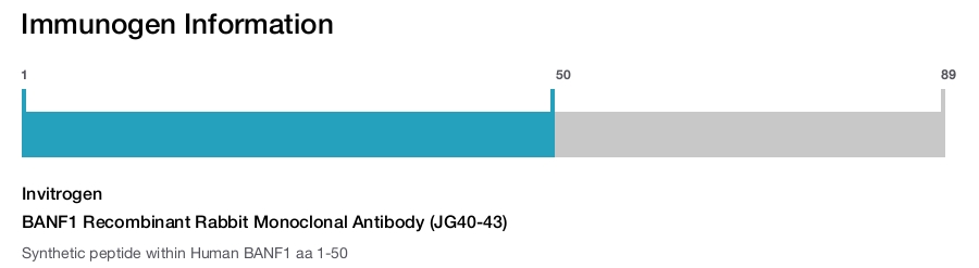 BANF1 Recombinant Rabbit Monoclonal Antibody (JG40-43)