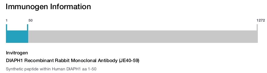 DIAPH1 Recombinant Rabbit Monoclonal Antibody (JE40-59)