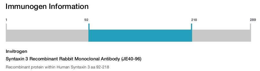 Syntaxin 3 Recombinant Rabbit Monoclonal Antibody (JE40-96)