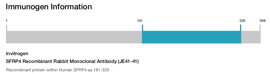 SFRP4 Recombinant Rabbit Monoclonal Antibody (JE41-41)