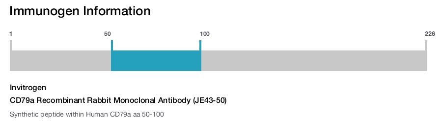 CD79a Recombinant Rabbit Monoclonal Antibody (JE43-50)