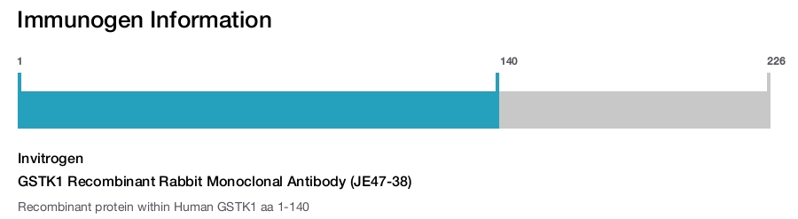 GSTK1 Recombinant Rabbit Monoclonal Antibody (JE47-38)