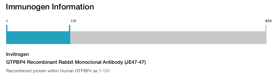 GTPBP4 Recombinant Rabbit Monoclonal Antibody (JE47-47)
