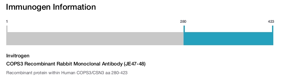 COPS3 Recombinant Rabbit Monoclonal Antibody (JE47-48)