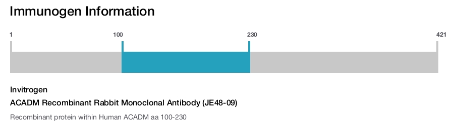 ACADM Recombinant Rabbit Monoclonal Antibody (JE48-09)