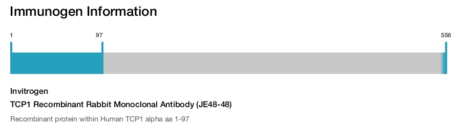 TCP1 Recombinant Rabbit Monoclonal Antibody (JE48-48)