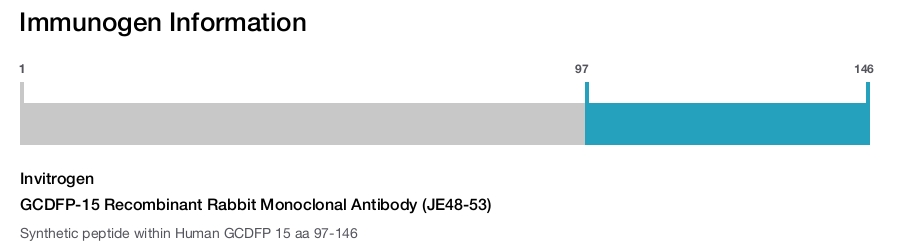 GCDFP-15 Recombinant Rabbit Monoclonal Antibody (JE48-53)