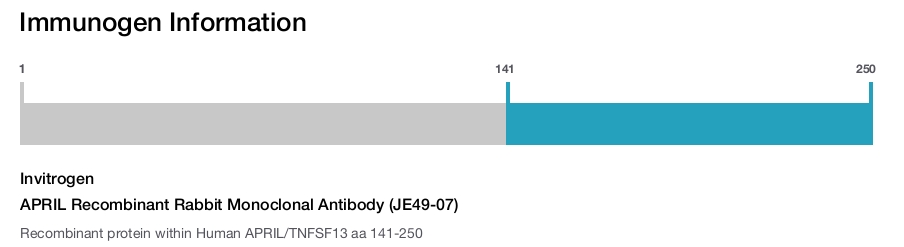 APRIL Recombinant Rabbit Monoclonal Antibody (JE49-07)