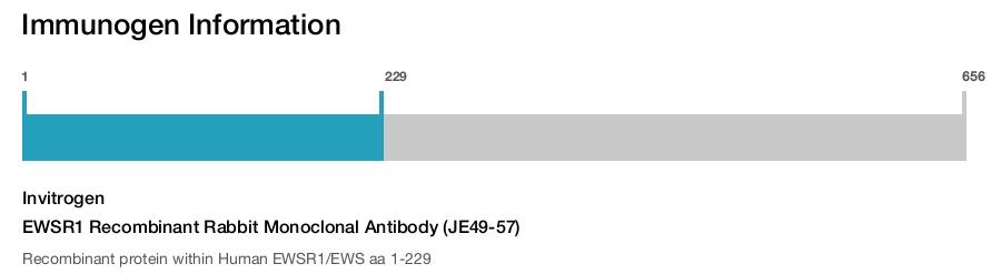 EWSR1 Recombinant Rabbit Monoclonal Antibody (JE49-57)