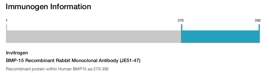 BMP-15 Recombinant Rabbit Monoclonal Antibody (JE51-47)