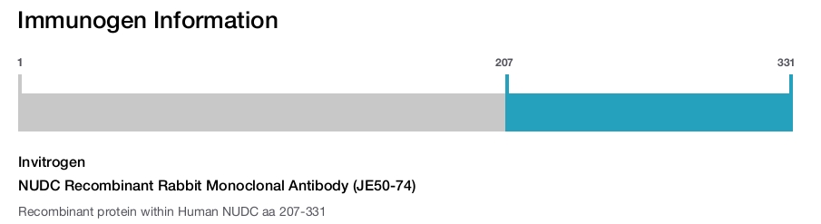 NUDC Recombinant Rabbit Monoclonal Antibody (JE50-74)
