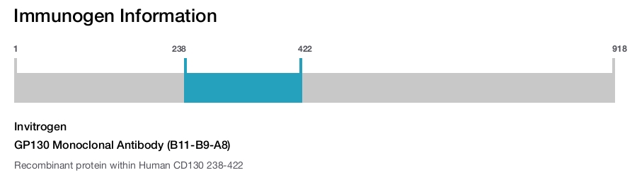 GP130 Monoclonal Antibody (B11-B9-A8)