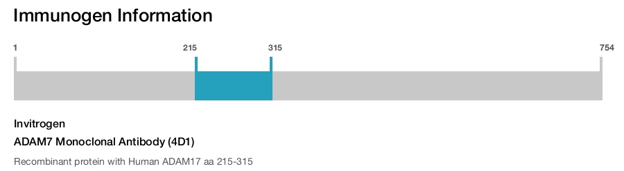 ADAM7 Monoclonal Antibody (4D1)