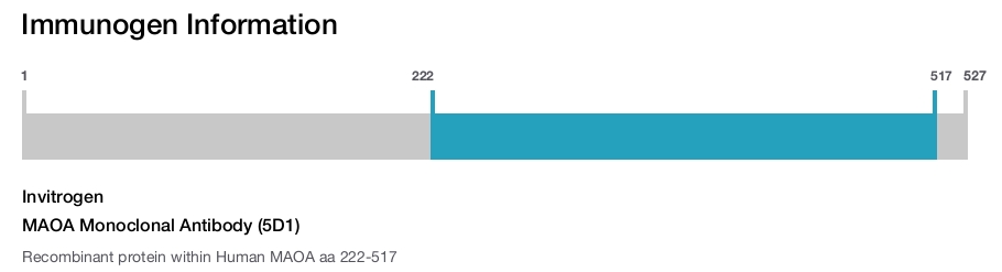 MAOA Monoclonal Antibody (5D1)