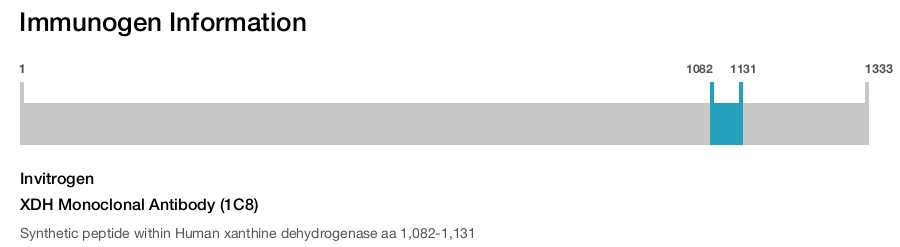 XDH Monoclonal Antibody (1C8)
