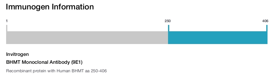BHMT Monoclonal Antibody (9E1)