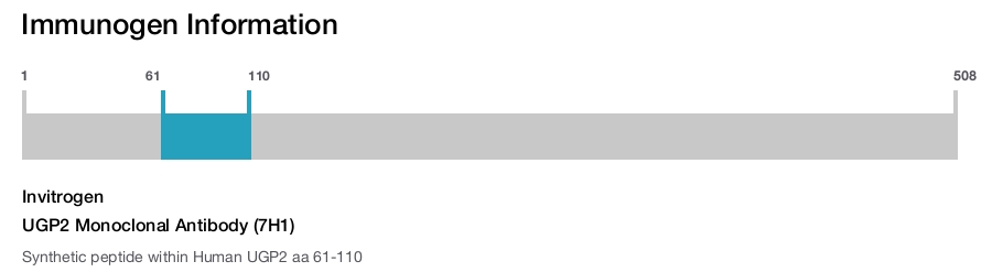 UGP2 Monoclonal Antibody (7H1)
