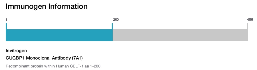 CUGBP1 Monoclonal Antibody (7A1)