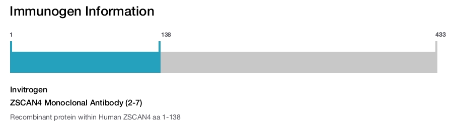 ZSCAN4 Monoclonal Antibody (2-7)