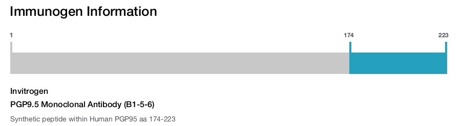 PGP9.5 Monoclonal Antibody (B1-5-6)