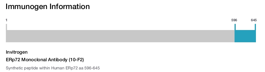 ERp72 Monoclonal Antibody (10-F2)