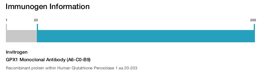 GPX1 Monoclonal Antibody (A6-C0-B9)