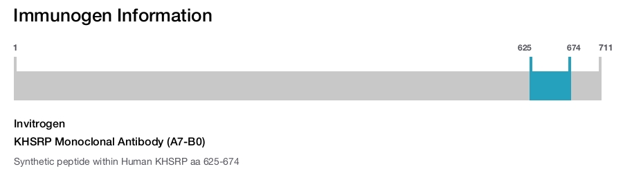 KHSRP Monoclonal Antibody (A7-B0)