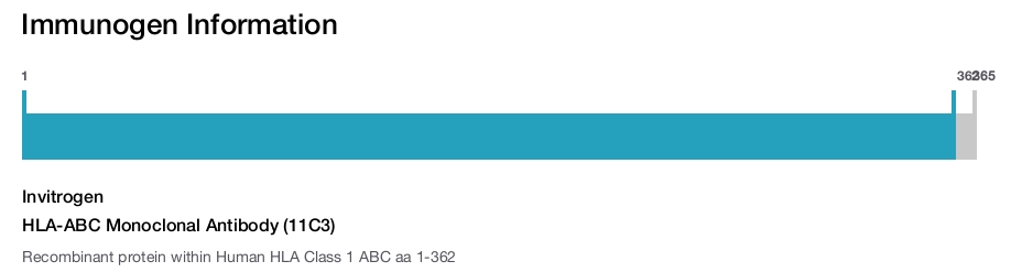 HLA-ABC Monoclonal Antibody (11C3)