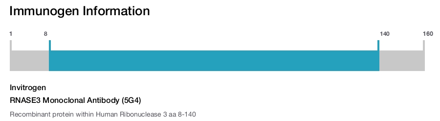 RNASE3 Monoclonal Antibody (5G4)