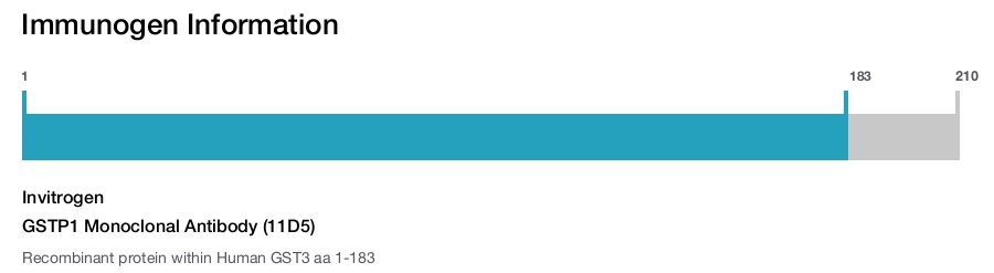GSTP1 Monoclonal Antibody (11D5)