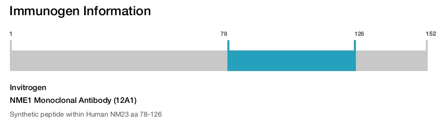 NME1 Monoclonal Antibody (12A1)