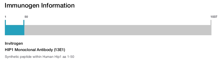 HIP1 Monoclonal Antibody (13E1)