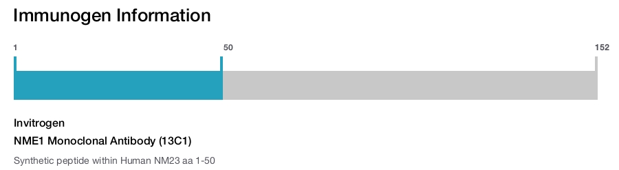 NME1 Monoclonal Antibody (13C1)