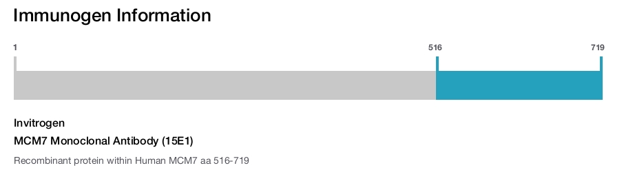 MCM7 Monoclonal Antibody (15E1)